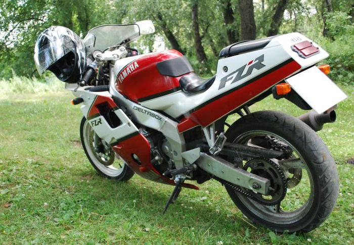 Pregled motora Yamaha FZR 250