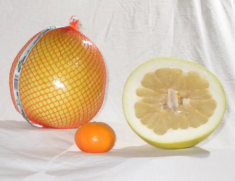 pomelo fruit photo 