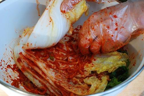 recept za kimchi kimchi