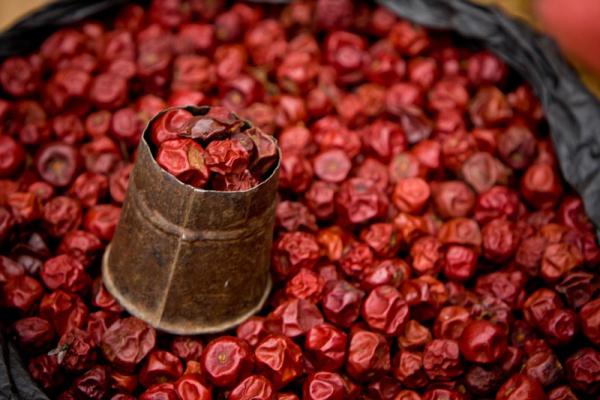 Cherry jelly: recept u pećnici