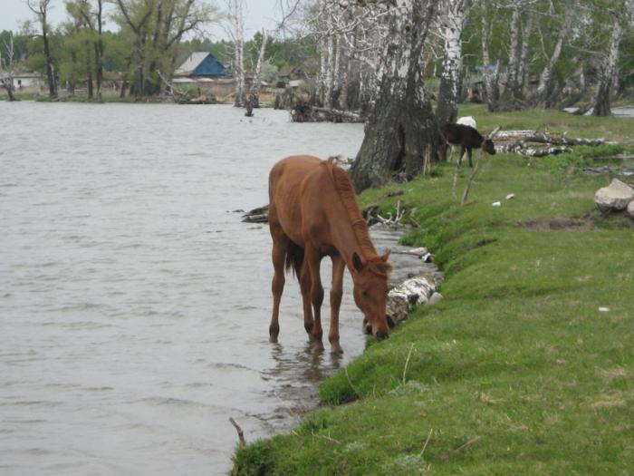 Chelyabinsk jezero Karagaykul 