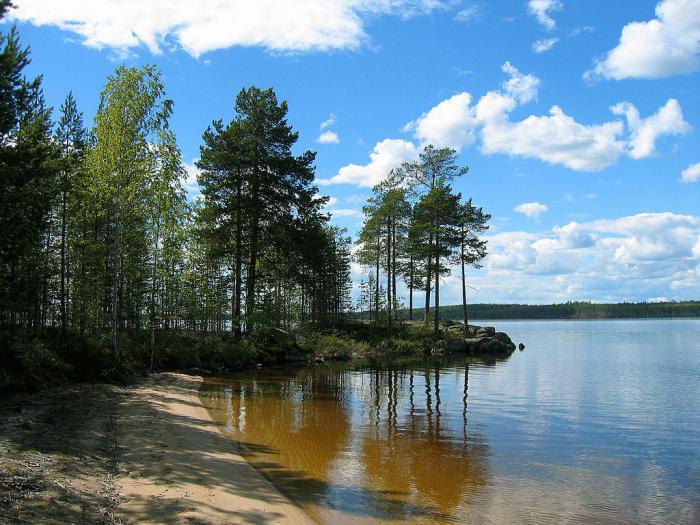 priroda Lenjingradske regije