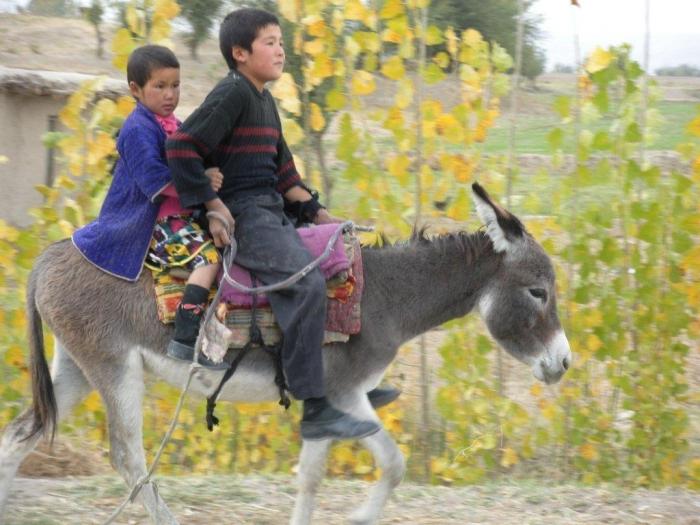 Muških imena uzbekova: prijenos tradicija s generacije u generaciju