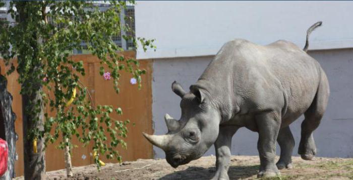 Tallinn Zoo