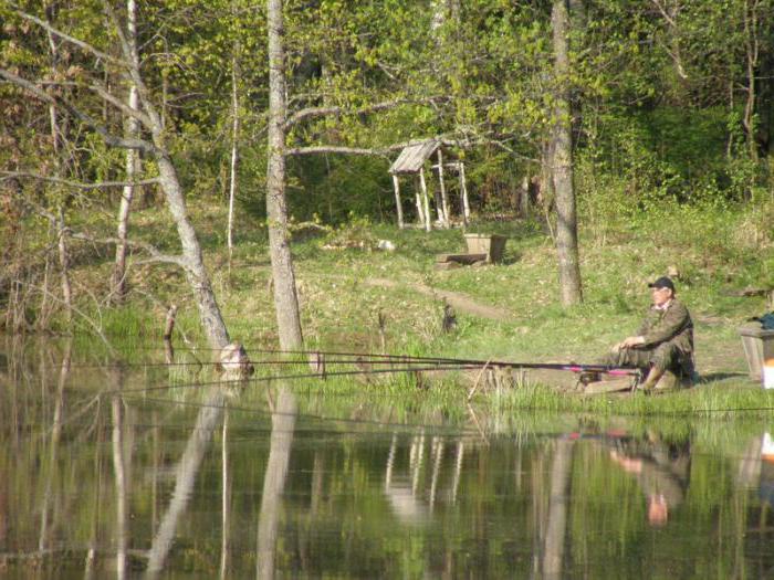 šumski park safari park kaluga region