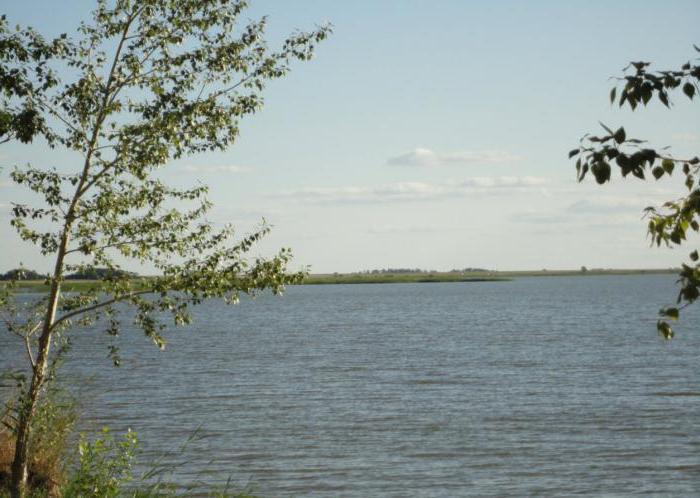 Jezero Peschanoe (Altai Territory): opis rezervoara, rekreacija, ribolov