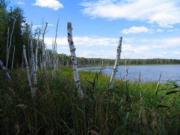 Jezero Sladkoe i njegova prirodna baština