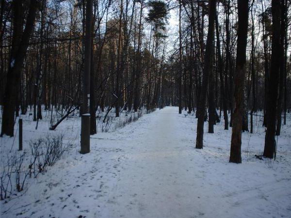 park Pokrovskoe shtreshno kako doći