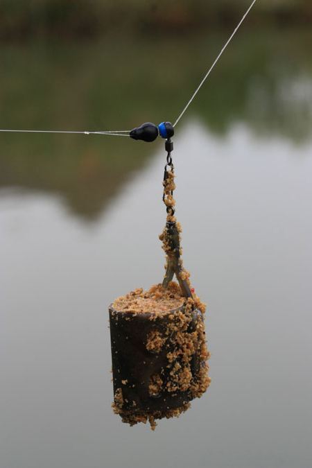 uhvatiti na feeder u proljeće