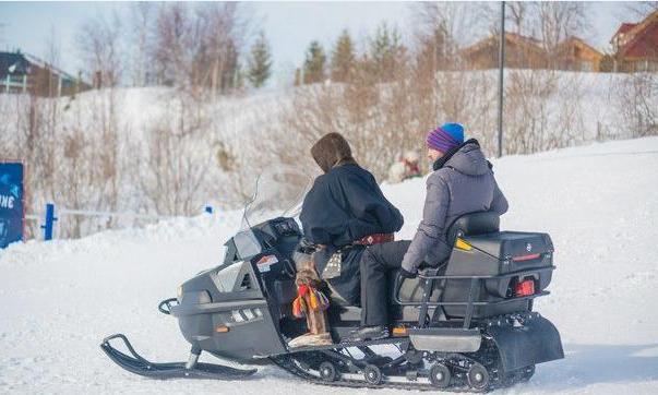 snowmobile stels 600 viking vikinga 